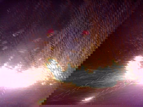 Istna plaga, strażacy wyjeżdżali ponad 150 razy do pożarów traw