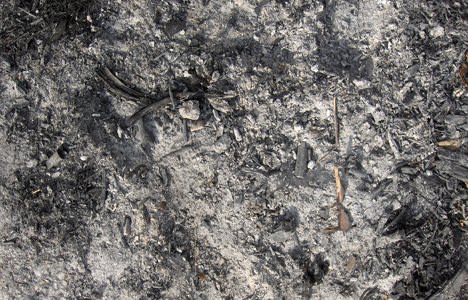 Zbiórka popiołu i odpadów paleniskowych