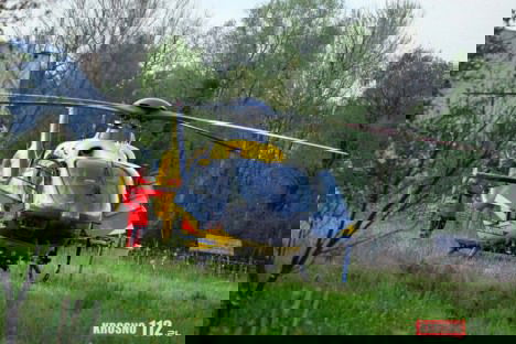 Dramat w Świerzowej Polskiej, pies pogryzł chłopca