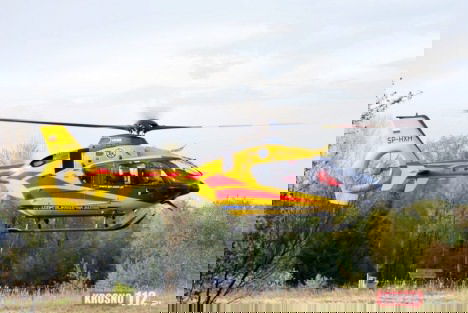 6-latek pogryziony przez psa, szczegóły zdarzenia