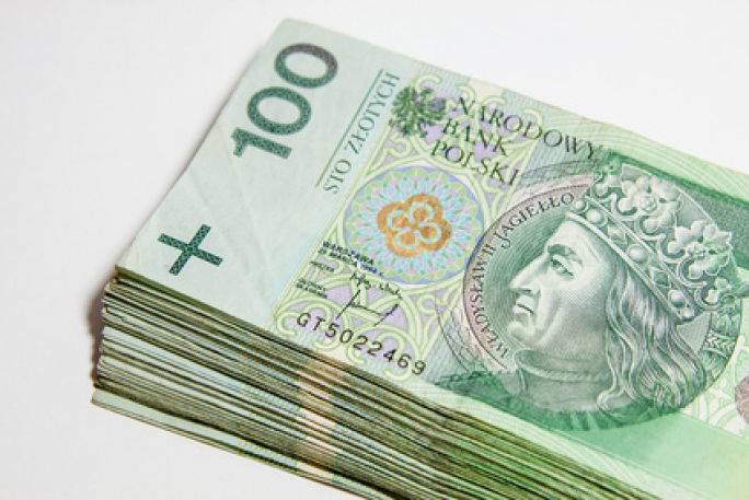 Wójt ujawnił majątek