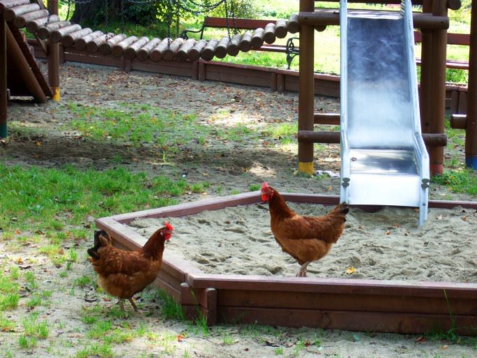 Park w Kobylanach smutną wizytówką okolicy