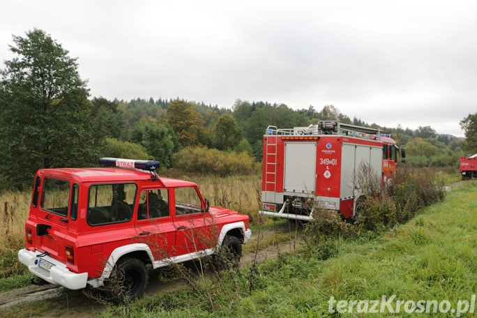 Poszukiwania nie przyniosły rezultatu