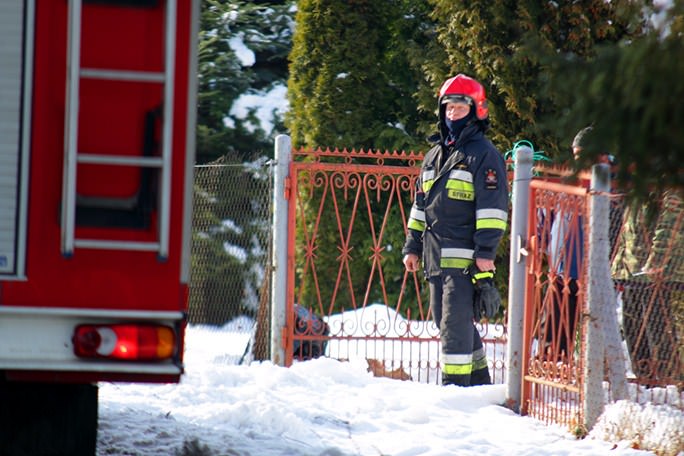 Sarna utknęła w ogrodzeniu