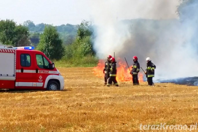 Pożar ścierniska w Świerzowej Polskiej