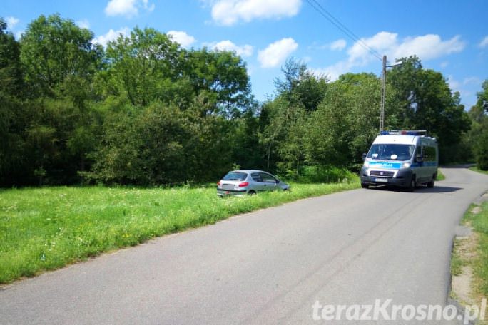 Obywatelskie zatrzymanie w Świerzowej Polskiej