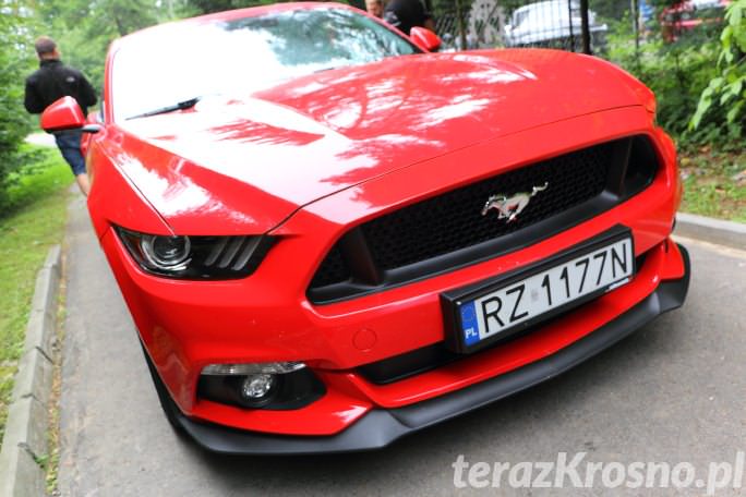 50 Mustangów ruszyło z Bóbrki