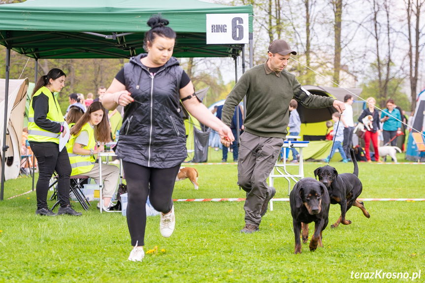 XXXII Podkarpacka Wystawa Psów Rasowych