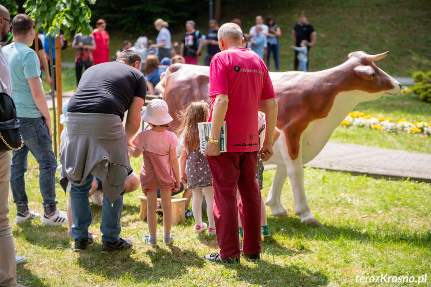 Dzień Dziecka w Rymanowie-Zdroju