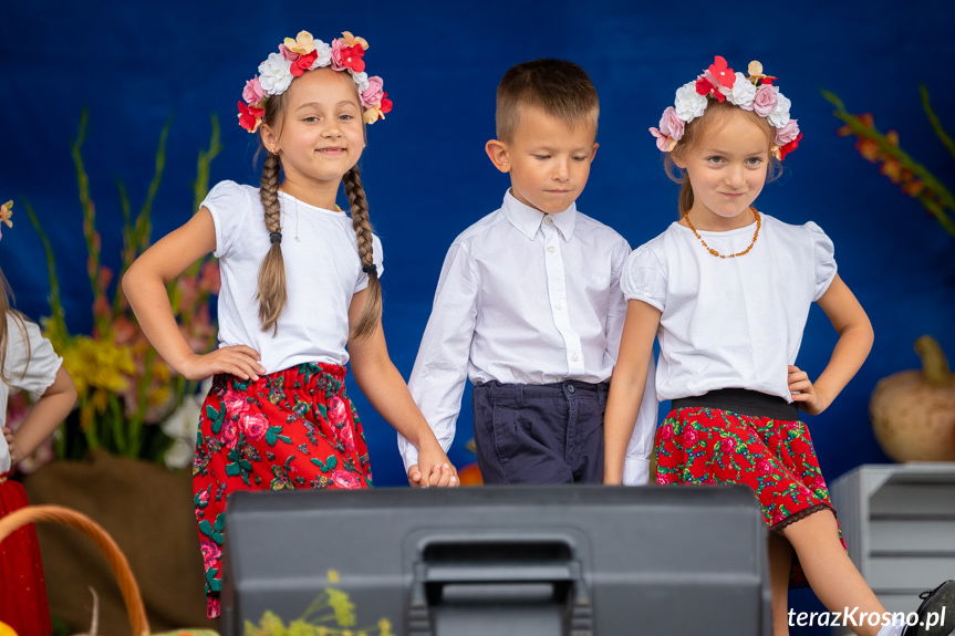 Występ dzieci podczas dożynek w Świerzowej Polskiej