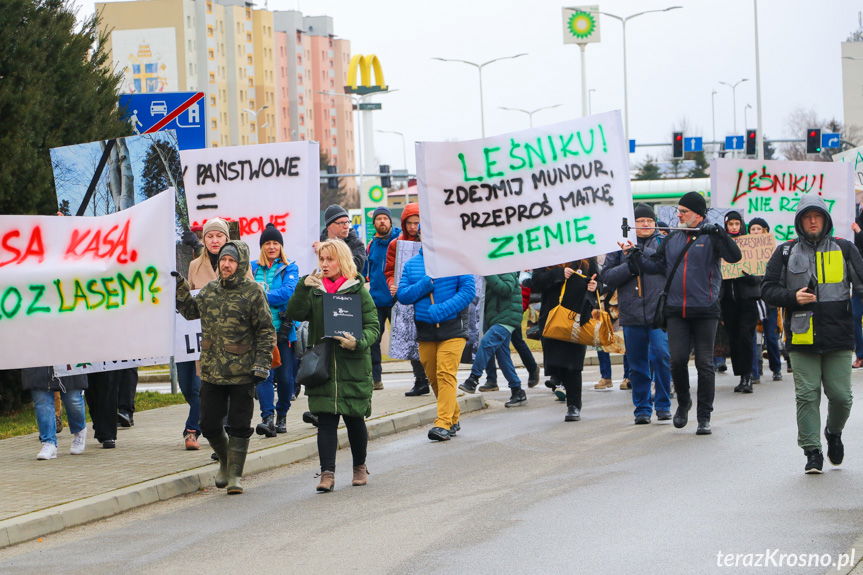 Marsz żałobny dla drzew w Krośnie