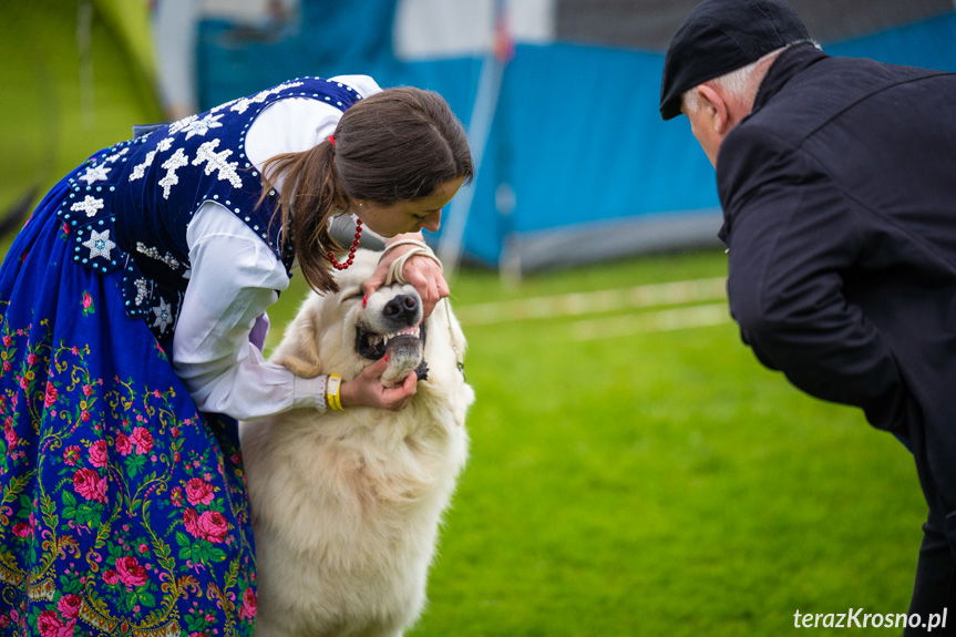 XXXIV Podkarpacka Wystawa Psów Rasowych w Krośnie