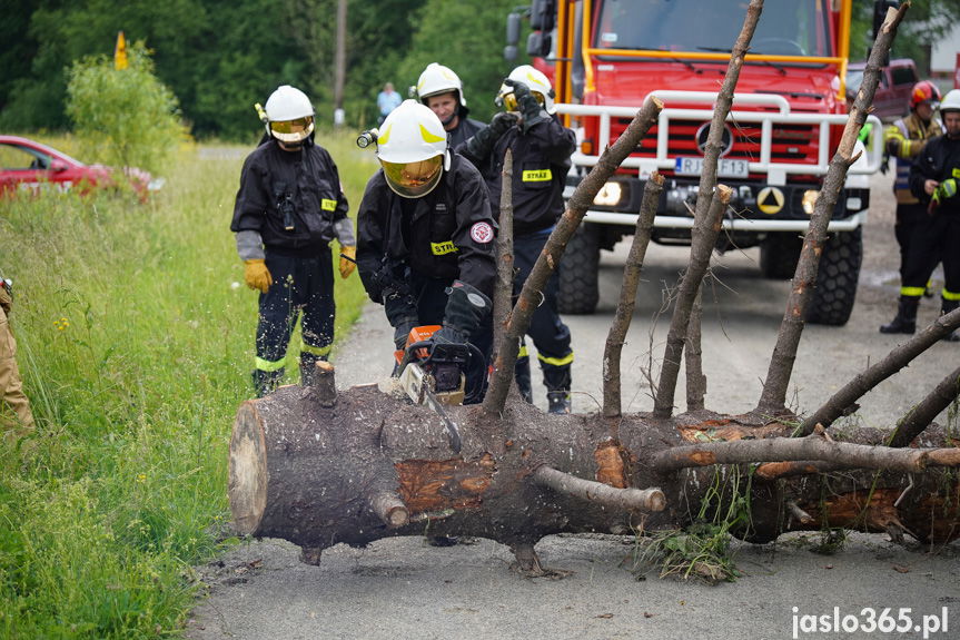 Wojewódzkie ćwiczenia ratownicze Jasło 2023