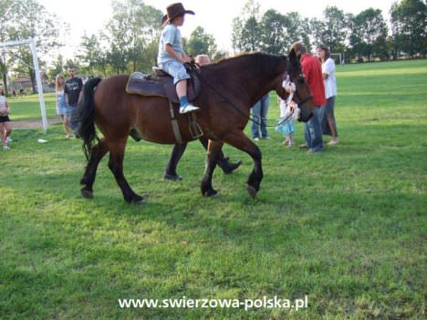 Dożynki wiejskie w Świerzowej Polskiej
