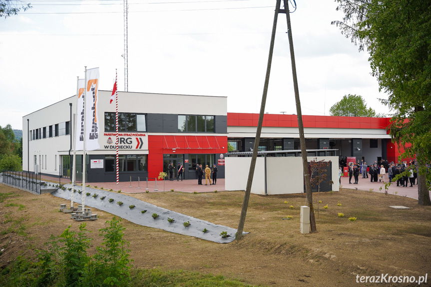 Wojewódzkie obchody Dnia Strażaka w Dubiecku