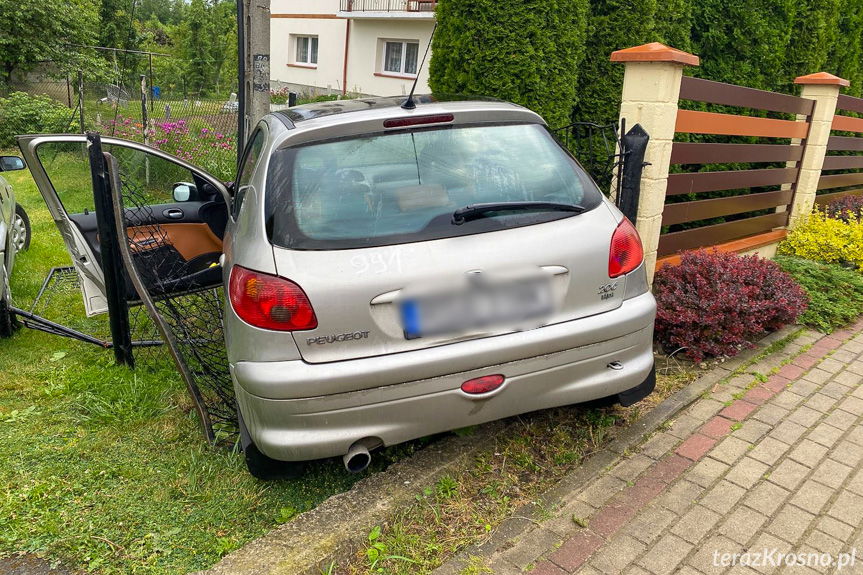 Łężany. Uderzył w ogrodzenie i słup