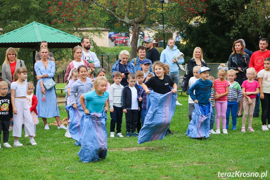 Krosno. Dzień Pieczonego Ziemniaka w Piątce [ZDJĘCIA]
