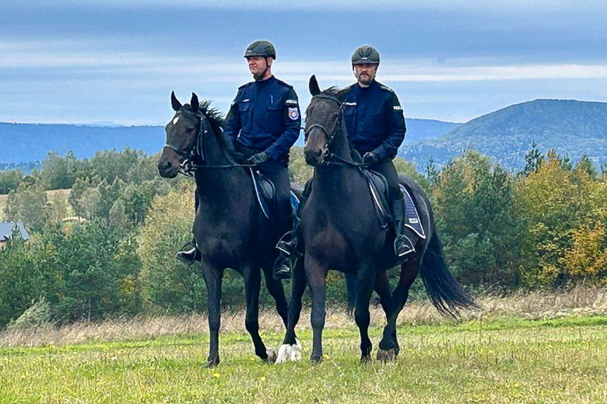 Służby jednoczą siły w obronie leśnych duktów