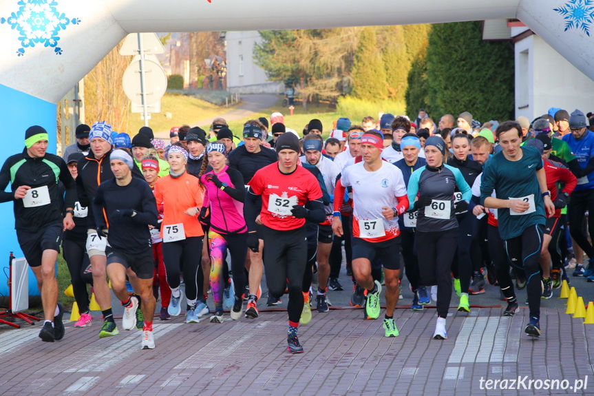 Bieg Niepodległości im. ks. płk. Józefa Panasia w Odrzykoniu [ZDJĘCIA]