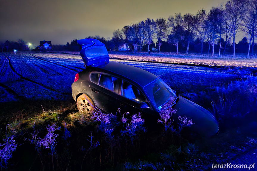 Świerzowa Polska. Niecodzienne zdarzenie z udziałem BMW