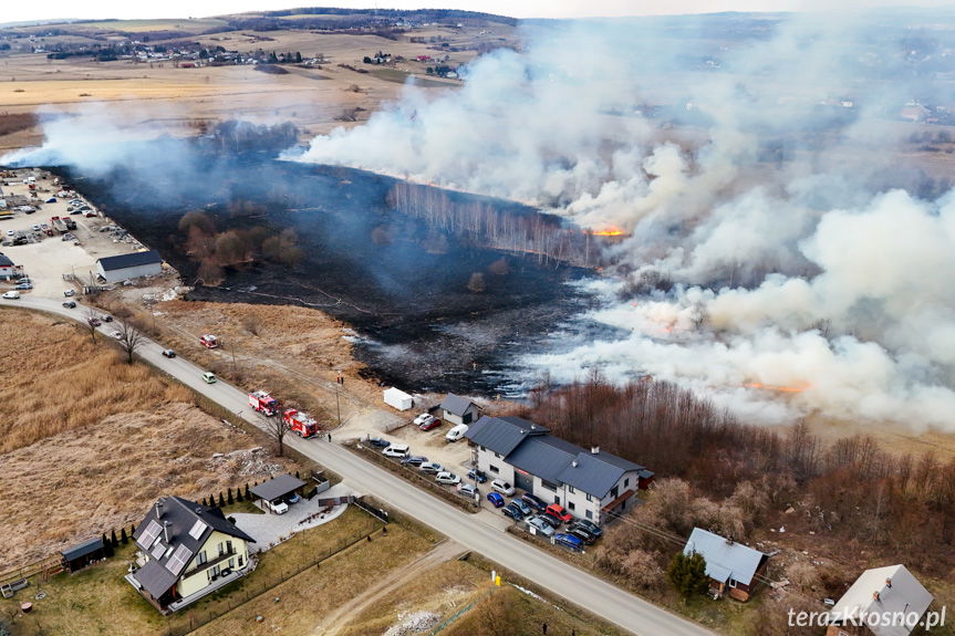 Strażacy walczyli z rozległym pożarem w gminie Chorkówka