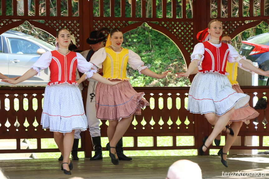 festiwal w Rymanowie-Zdroju