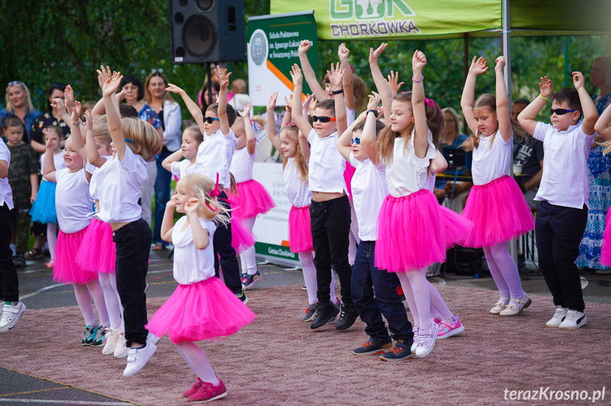 Piknik Rodzinny w Świerzowej Polskiej [ZDJĘCIA]