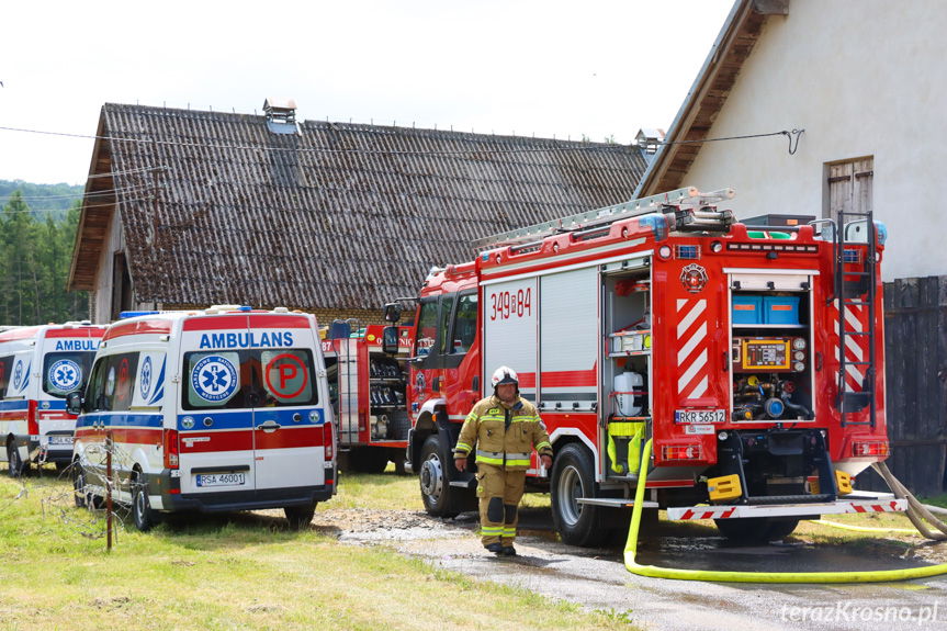 ćwieczena strażackie