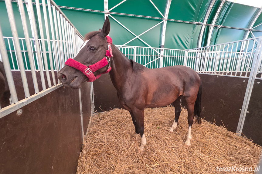 Dni Otwartych Drzwi PODR w Boguchwale