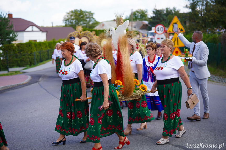 Dożynki w Faliszówce. Barwny korowód dożynkowy [ZDJĘCIA]