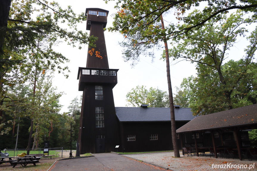 Bóbrka coraz bliżej UNESCO