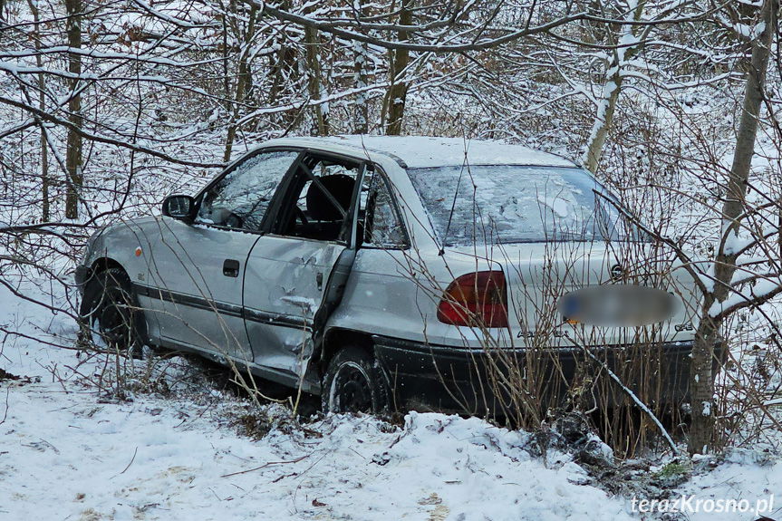 Zjechał z drogi i uderzył w drzewo