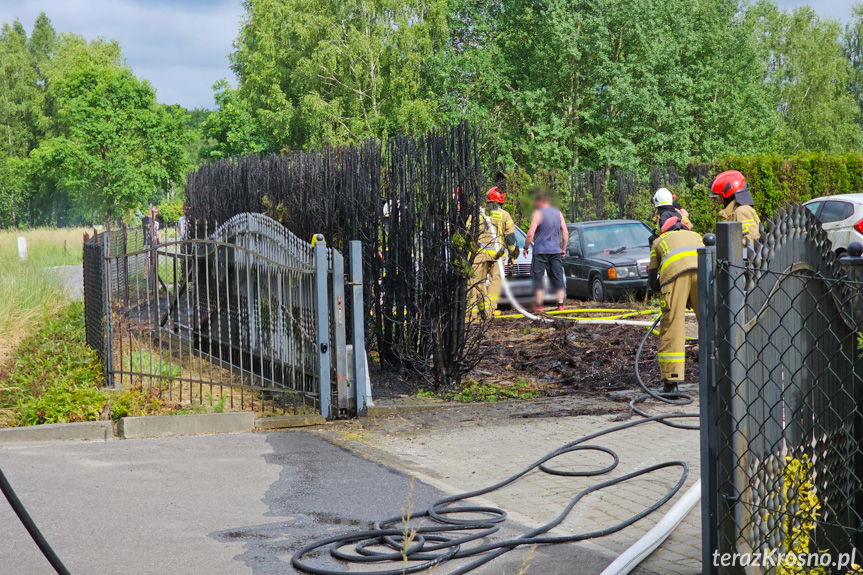 Tuje stanęły w płomieniach. Uszkodzone samochody