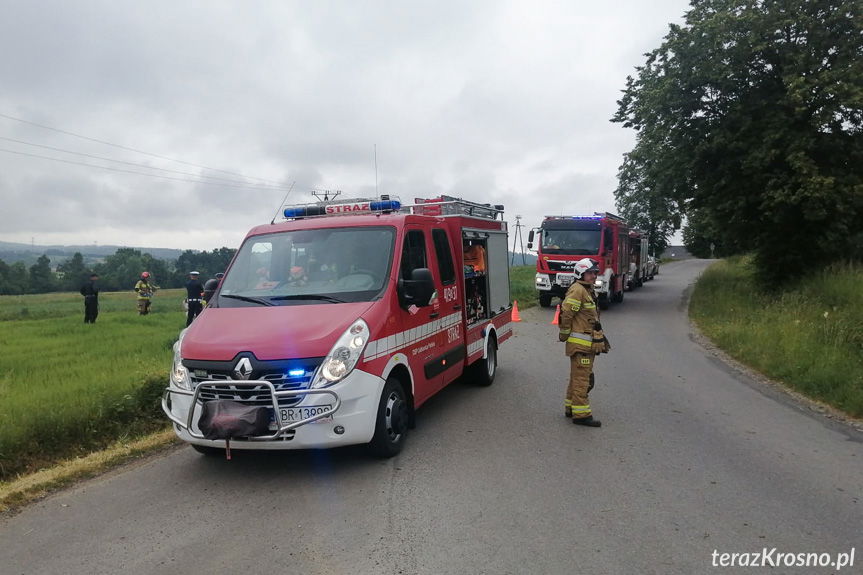 Bus zatrzymał się w polu