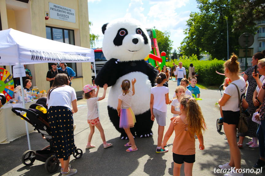 Piknik rodzinny z Wielkim Sercem