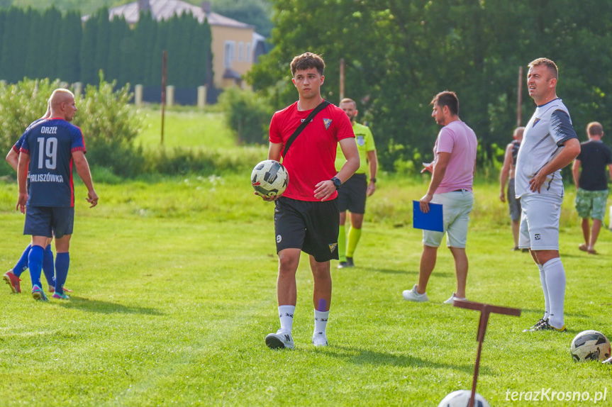 Orzeł szybuje nad Tęczą. Faliszówka triumfuje w derbach