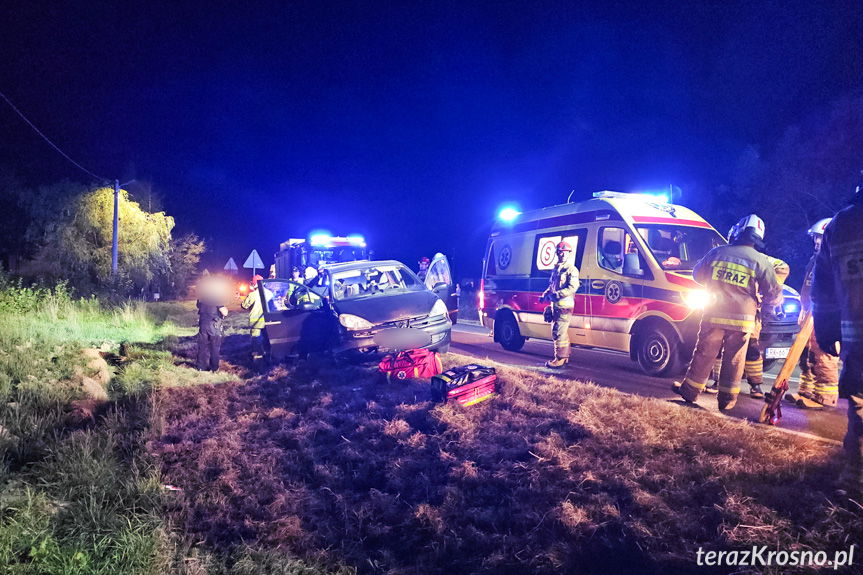 Pies przyczyną kolizji