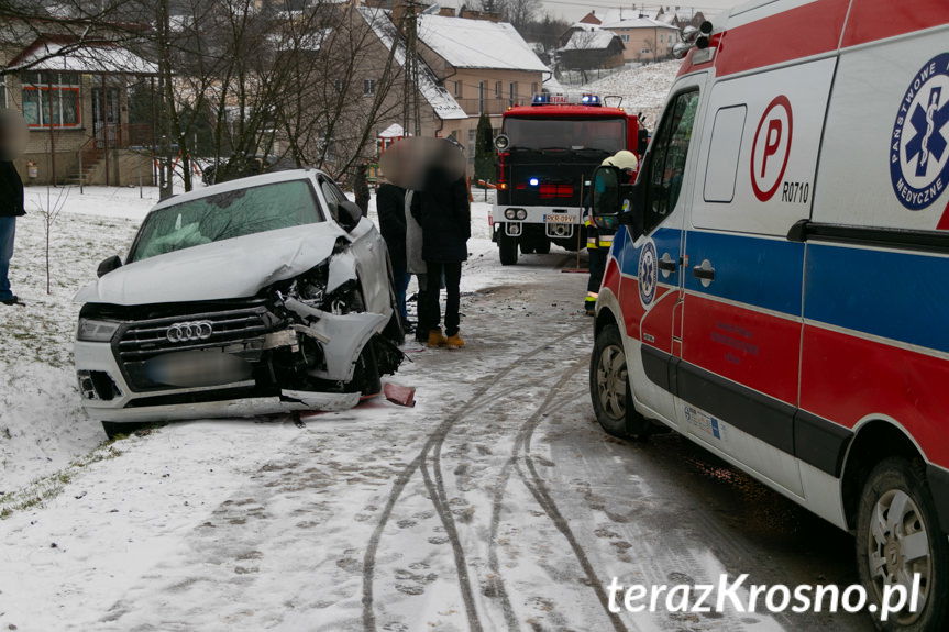 Wypadek w Leśniówce