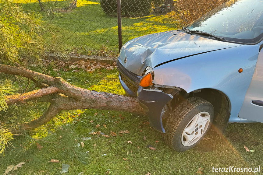 Krosno. Uderzyła w drzewo