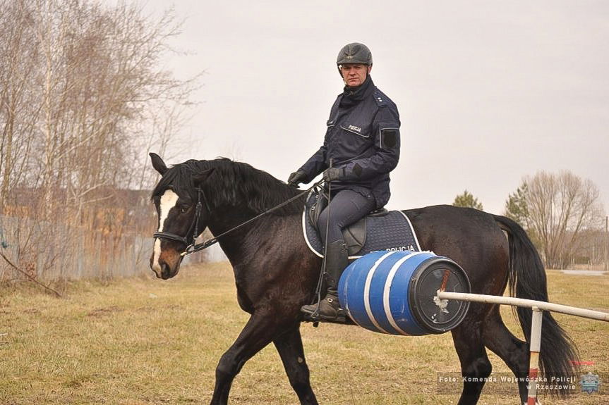 Wag i Bary dołączają do patroli konnych na Podkarpaciu