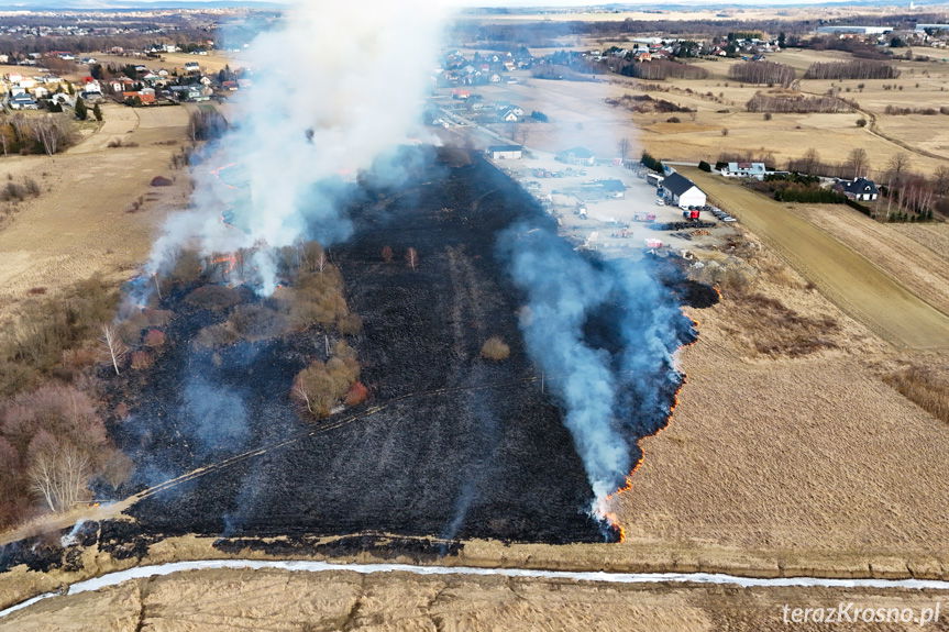 Strażacy walczyli z rozległym pożarem w gminie Chorkówka