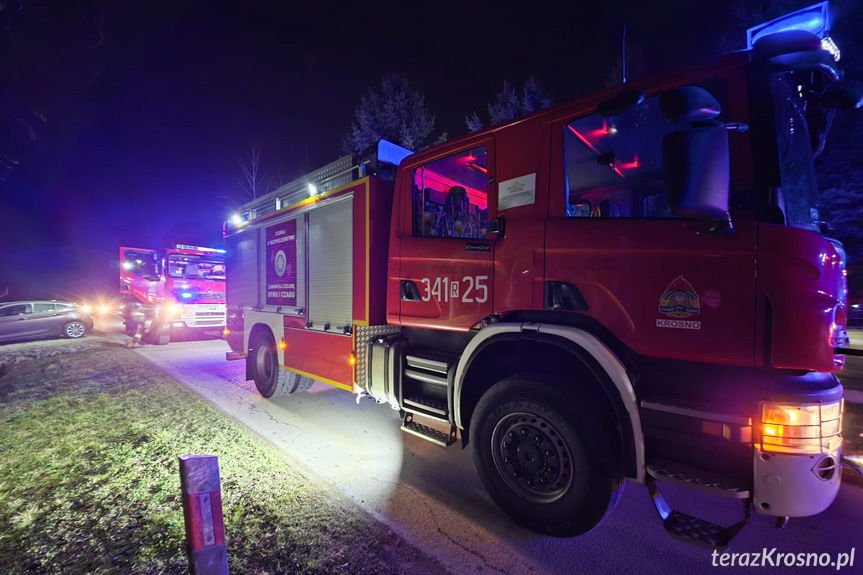 Świerzowa Polska. Zadymienie w jednym z domów