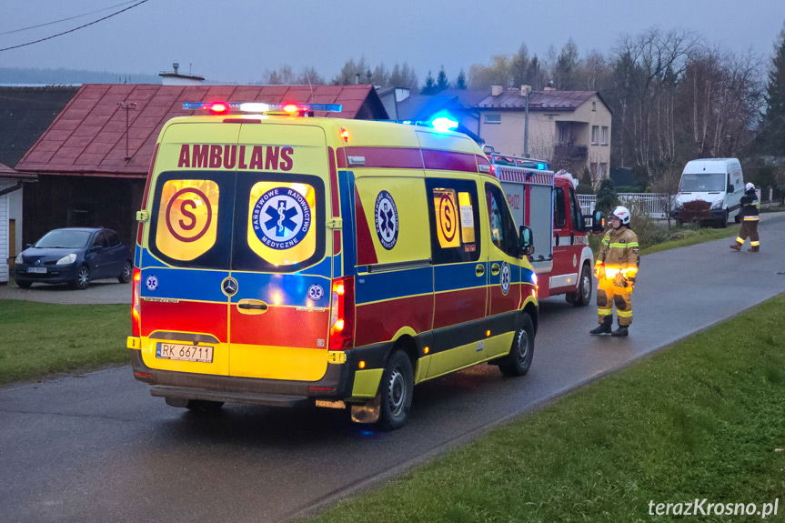 Bus z pieczywem w rowie. Sarna wybiegła nagle na drogę