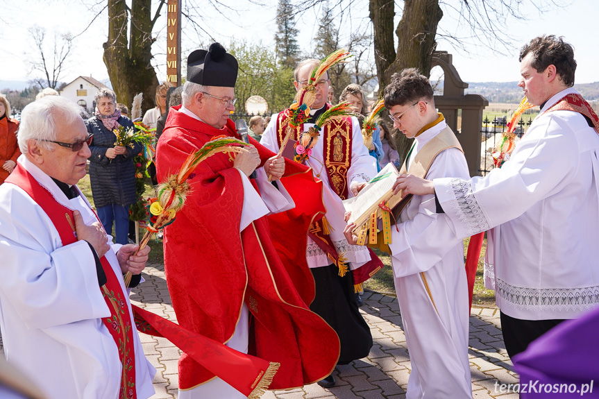 Palmy konkursowe ozdobiły Niedzielę Palmową w Zręcinie