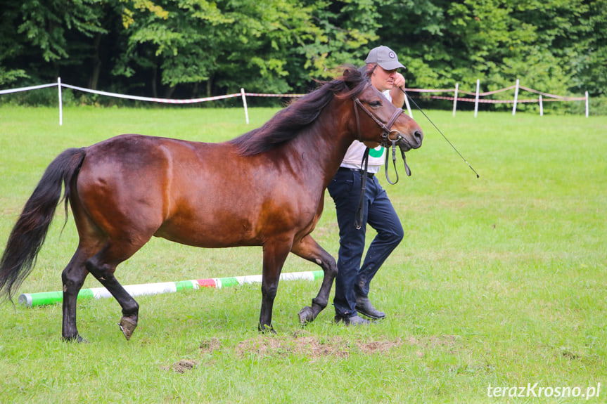 Pożegnanie Wakacji w Rudawce Rymanowskiej