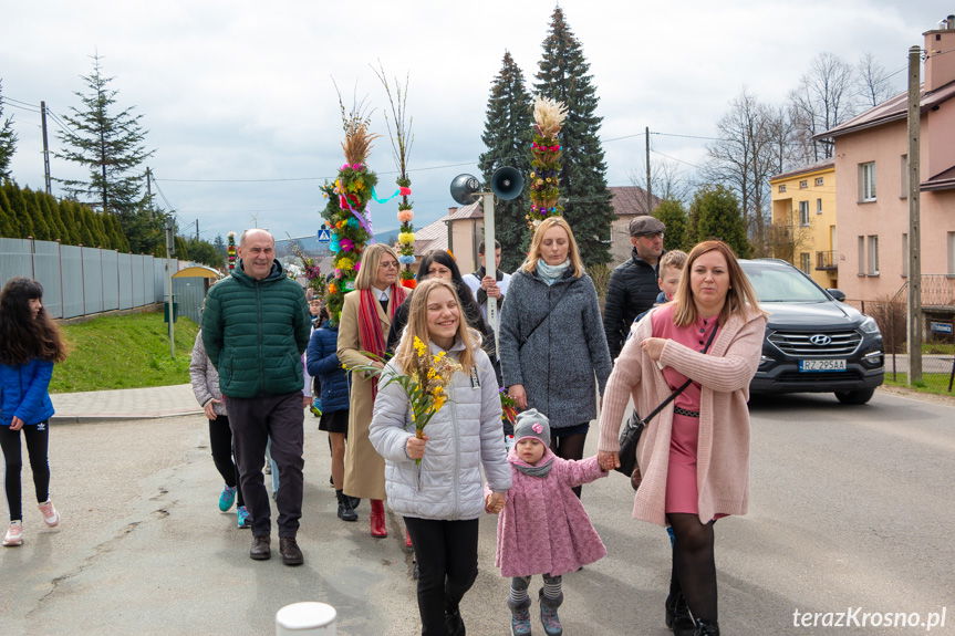 Niedziela Palmowa w Zręcinie. Procesja z palmami