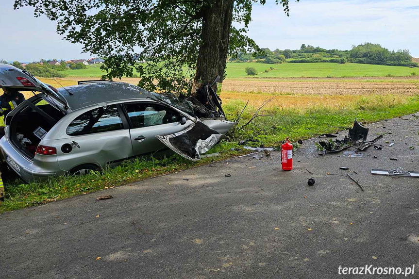 Samochód uderzył w drzewo